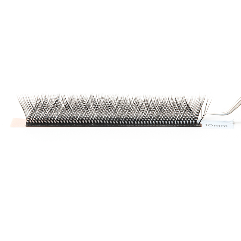 Wholesale professional bulk YY eyelash extension C D  JH51